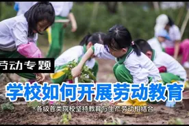 学校如何开展劳动教育？视频封面
