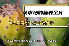 菜市场的营养宝库：仙人掌果有什么营养价值？视频封面