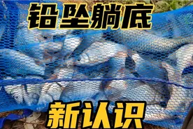 江河野钓，铅坠躺底，能赛过悬坠钓？十次PK，大跌眼镜，我服了视频封面