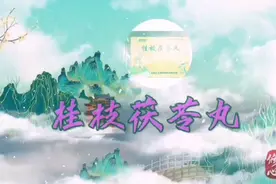 每天一味中成药的小知识：桂枝茯苓丸（胶囊）视频封面