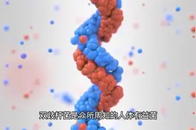 双歧杆菌对人体好处视频封面
