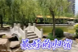 两只小鸭越来越大了，楼上养不成了，又舍不得丢弃，怎么办呢？