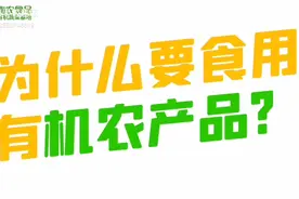 参观有机蔬菜基地视频封面