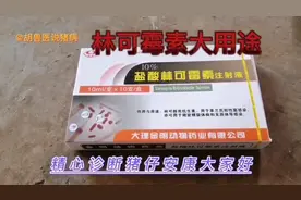 林可霉素和不同的药物配伍能治疗多种疾病，你知道吗？视频封面