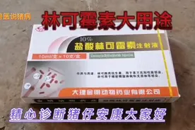 林可霉素和不同的药物配伍能治疗多种疾病，你知道吗？视频封面