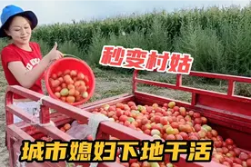 城市媳妇嫁给农村小伙，第一次尝试下地干活，全家总动员下地干活视频封面