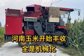 河南玉米开始丰收还是机械化，70块钱一亩包拉家，7亩地瞬间搞定