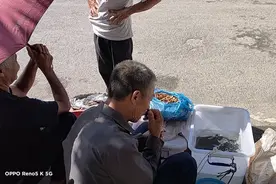 天河镇的确有一条河盛产河鱼，大叔说70年代到现已经灭绝30多种鱼视频封面