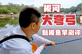 鱼竿测试碰到大鱼，鱼线响个不停，竿子弯到手把，鱼把竿都抢走了视频封面