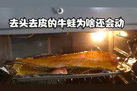 去头去皮的牛蛙为啥还会动