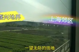 在火车上实拍嘉兴与上海交界处，看完之后感觉非常意外视频封面