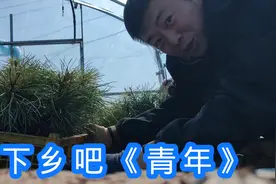 下乡吧青年《体验农村干活》第一天还是有意思！视频封面