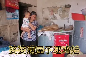 儿媳给公公的活珠子居然出鸡娃了，责怪自己没耐心不等几天视频封面