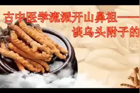 古中医学流派开山鼻祖李可—谈乌头附子的运用视频封面