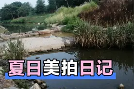 走路带着风景还是很美，在我眼里的美景分享给你。