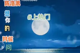 月亮你别走视频封面