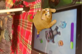 我的汤姆猫2和会说话的金杰猫。2视频封面