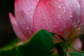 在南京鼓楼医院！视频封面