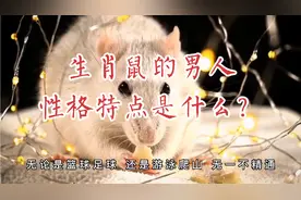生肖鼠的男人性格特点是什么？视频封面