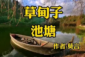 《草甸子》作者，莫言视频封面