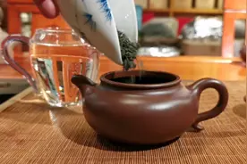 今天教大家怎样用紫砂壶泡冷泡绿茶，泡出来有果香味很好喝视频封面