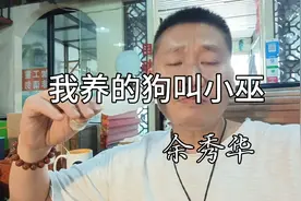 评论区起码有一半说这不是诗视频封面
