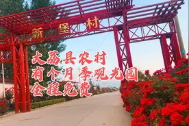 大荔县下寨镇，有个农村月季观光园，可赏可玩，还不用花钱视频封面
