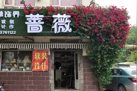 每天的清晨你也会驻足拍照吗视频封面