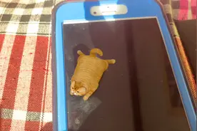 iPhone6 Plus已更换电池之前的电池已经鼓包还能换个电池还能用。视频封面