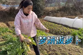 梦妍瞒着老妈，拔光菜地里所有萝卜，她又想做什么好吃的视频封面