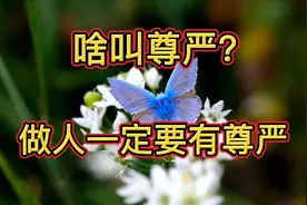 什么才是尊严？做人一定要有尊严！视频封面