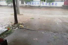目前，开封市尉氏县岗李乡在下雨，不用浇地了。视频封面