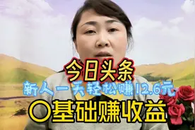 今日头条，4个笨方法新人一天轻松赚12.6元，零基础可操作视频封面