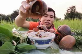 泰国🇹🇭美食频道分享！超级大的福寿螺沾辣椒酱咕咕脆
