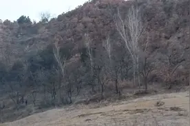 一处老坟地右水倒左出巽方，立向癸山丁向，如今是人丁大旺。视频封面
