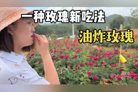 你绝对没吃过的 浪漫的味道  玫瑰新吃法 带你去玫瑰花海细品视频封面
