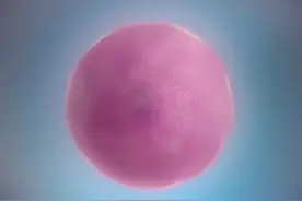 学术生涯如何排雷和规划？课题组和老师该如何选？视频封面