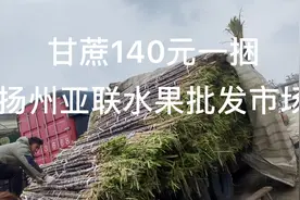 扬州亚联水果批发市场，过年买水果，好去处，甘蔗100元一捆超长视频封面