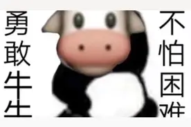 盘点网上的最火表情包（上）视频封面