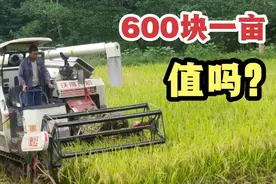 四川农村打谷子，这种收割机收费600块钱一亩，大家觉得值吗？视频封面