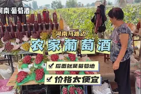 河南马路边的酿葡萄酒。后面就是葡萄地。阳光玫瑰价格感人。视频封面