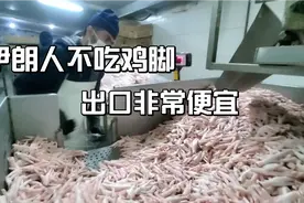 伊朗人不吃鸡脚，有大量鸡脚便宜出售，但是没有销售渠道