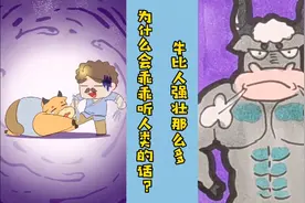 牛比人强壮那么多。为什么会乖乖听人类的话？视频封面