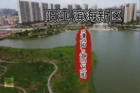 阳江滨海新区“漠阳湖”钓点，一个非常适合悠闲钓鱼的地方视频封面