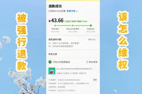 在拼多多平台买东西，商家不发货，被客服强行退款，损失自己承担