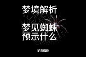 梦境解析，梦见蜘蛛预示什么视频封面