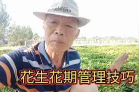 花生开花期喷点它，不长秧光结果，每亩增产200斤以上。视频封面