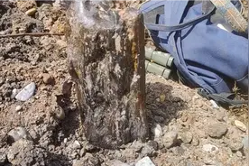 户外捡玉石，这款树化玉，值多少钱，大家看看？视频封面