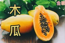 木瓜味酸，气香,性温。 主归肝、脾经。祛风止痛、舒筋活络、❤️视频封面