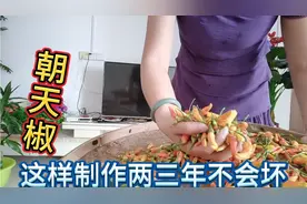 江西朝天椒这样泡酒做法，非常入口好吃几年不会坏，简单易学视频封面